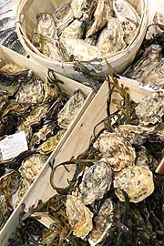 große Austernauswahl im FrischeParadies (©Foto: Martin Schmitz)